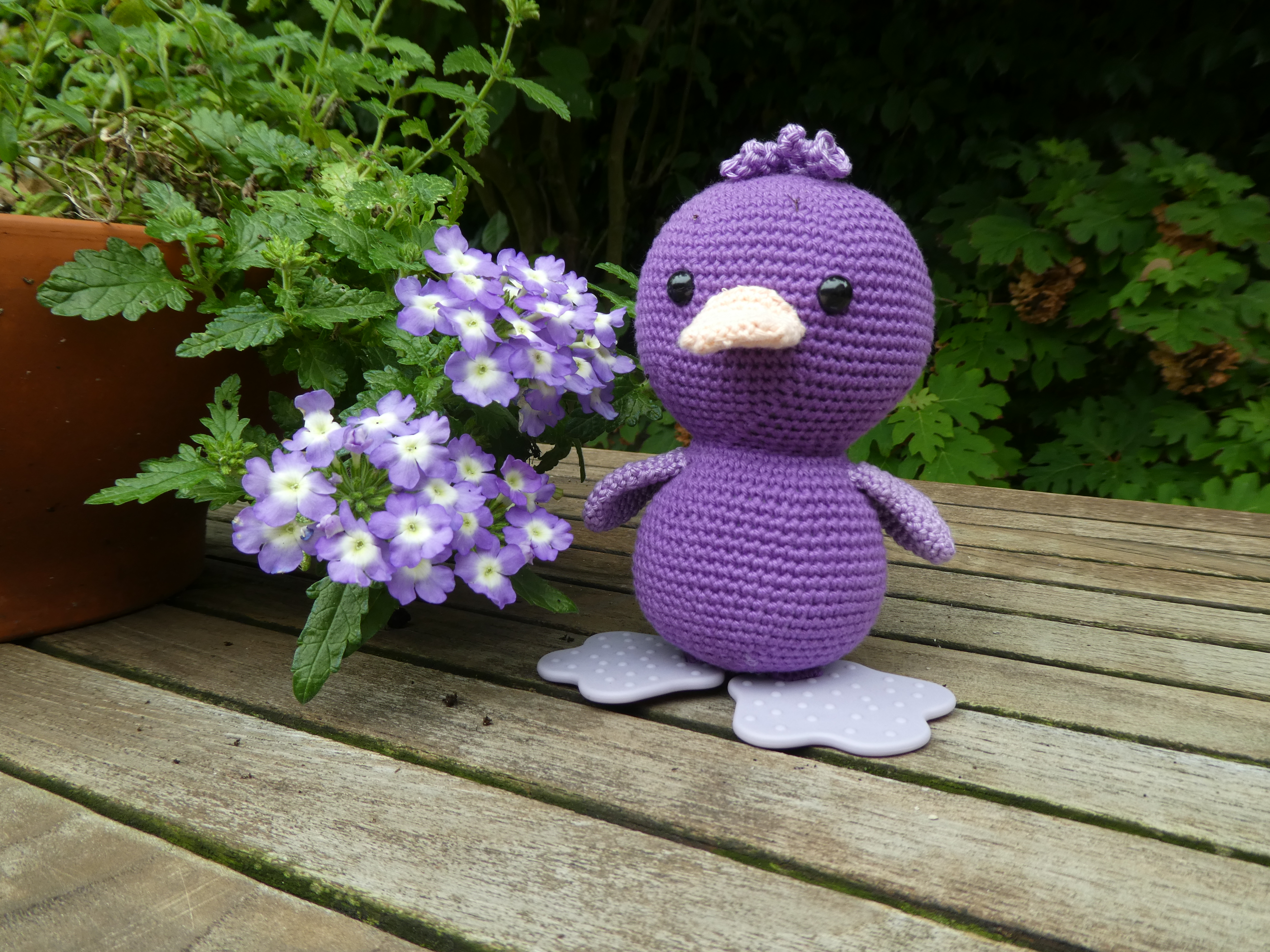 Eke de (zintuigen)eend